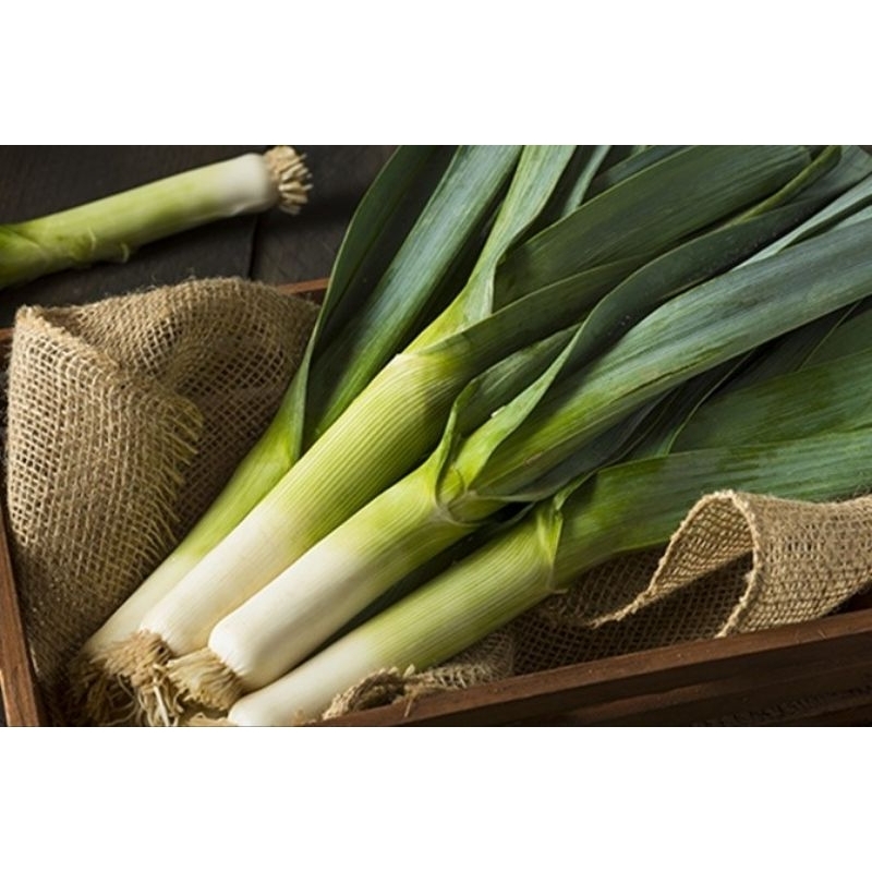 

JYOTI DAUN BAWANG LEEK 500 GR