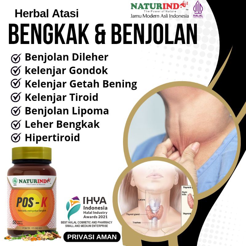 Obat Herbal Kelenjar Getah Bening Obat Kelenjar Tiroid Obat Herbal