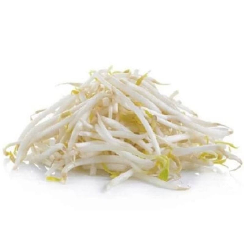 

Kecambah/Toge Segar Dengan berat 200 Gram - 500 Gram,SayurBuah Ku-Lampung