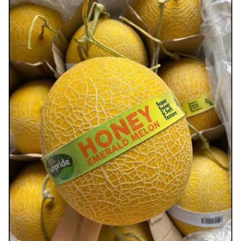 

Melon Honey Emerald Sunpride – Manis, Segar & Berkualitas Premium