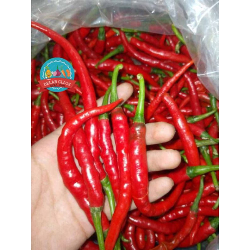 

cabai/cabe kriting merah press segar