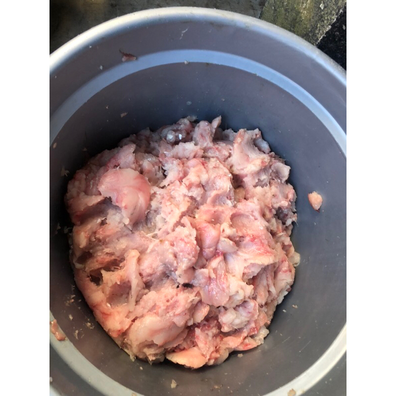 

daging giling ikan bulan-bulan