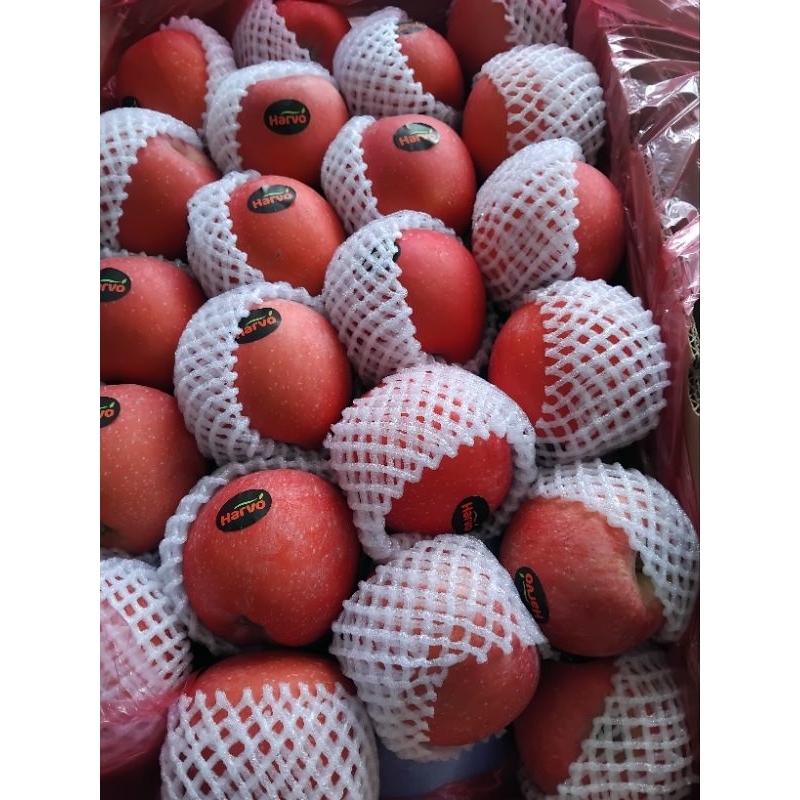 

Apel Fuji Blush Harvo 1kg – Manis & Segar dengan Sentuhan Blush