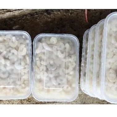 Frozen Udang Kupas Kecil BERSIH MURAH