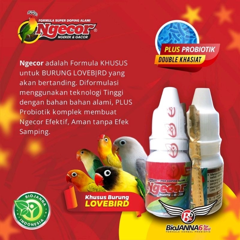 NGECOR DOPING LOVEBIRD ALAMI PROBIOTIK - SUPER GACOR DAN NGEKEK - DOPING LOVEBIRD PERBOTOL