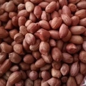 

kacang tanah Mandarin 250gr