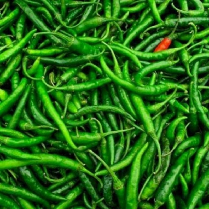 

Cabe Ijo Keriting 250gr
