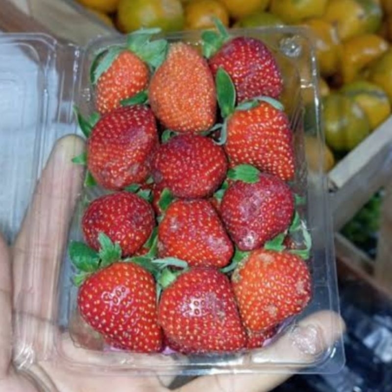 

Buah Strawberry Stroberi 250gr Fresh Segar Promo Termurah Hemat Harga Terjangkau