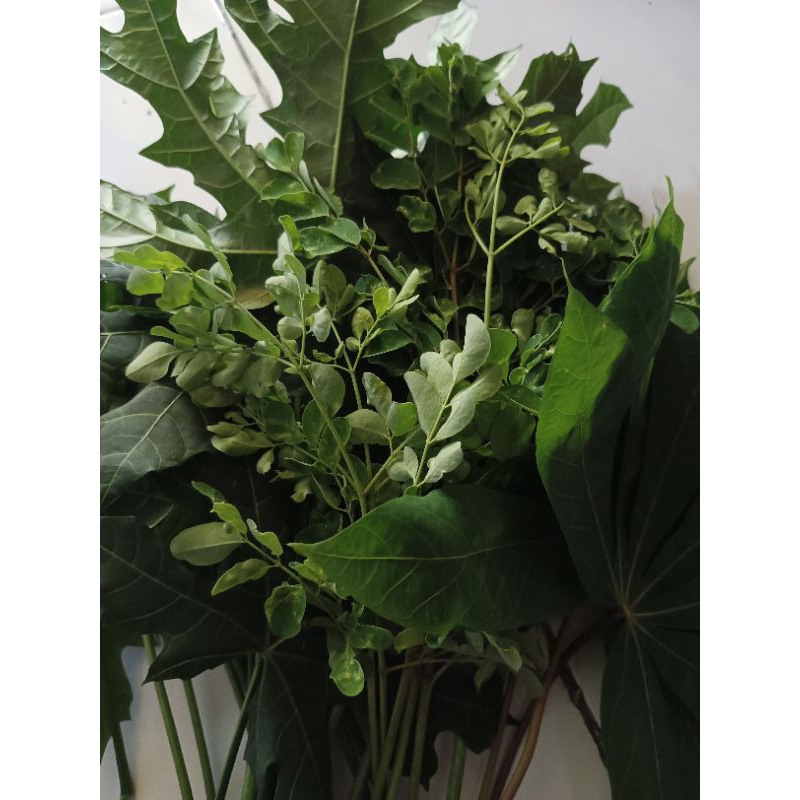 

Paket Sayuran Untuk DOC/Anak Ayam Kesayangan.