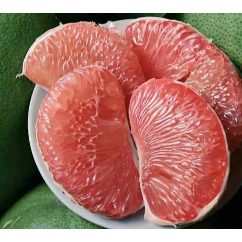 

jeruk pamelo madu 1,7-1,9 kg merah manis tanpa biji