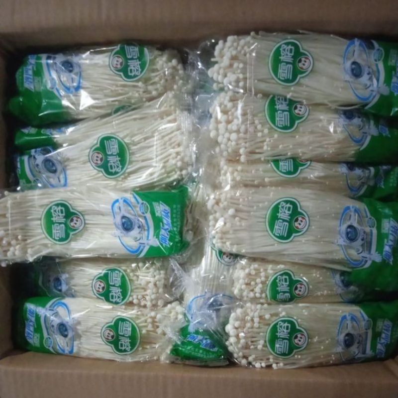 

JAMUR ENOKI FRRESSS