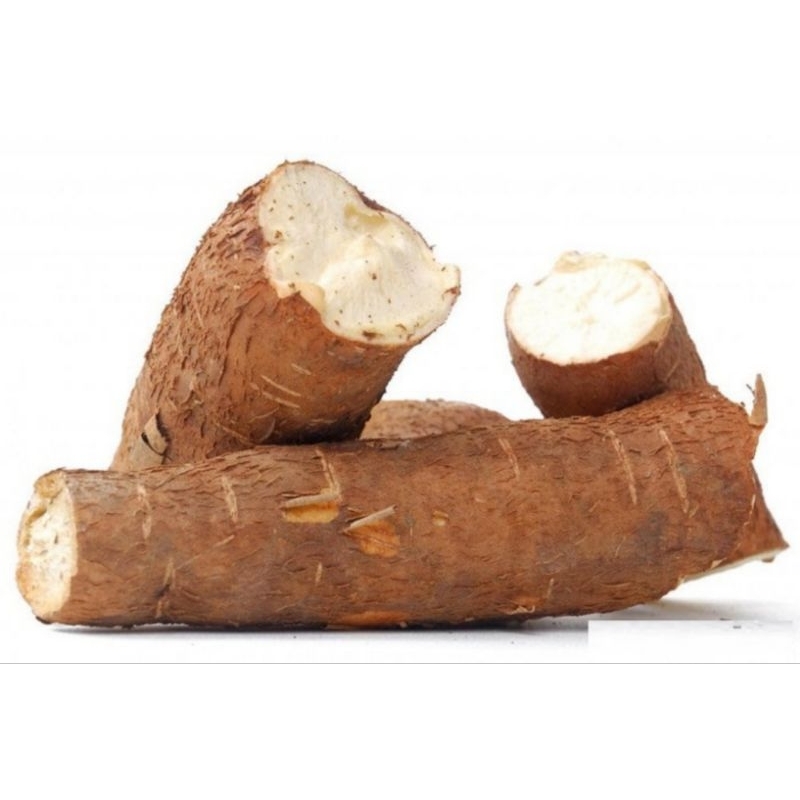 

Paket Hemat Singkong Mentega Asli 2 kg