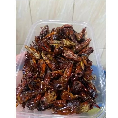 

walang goreng asli gunungkidul