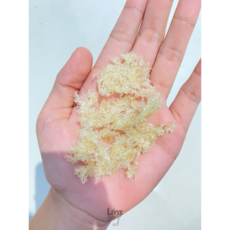 

sarang burung walet super buat kecantikan dan kesehatan Harga Per Gram)