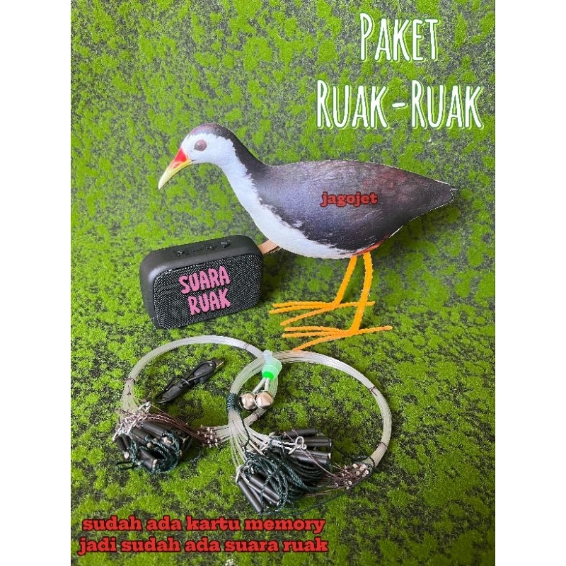 Komplit jebakan jerat ruak ruak padi bonus speaker box mp3