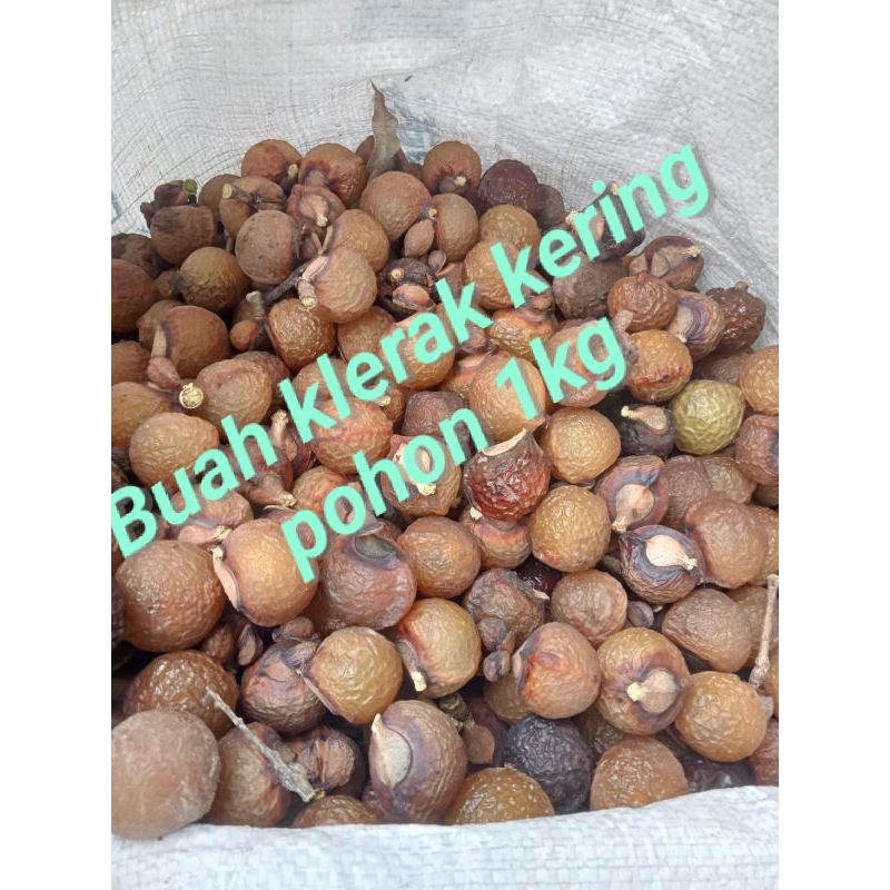 

Buah lerak super kering pohon 1kg