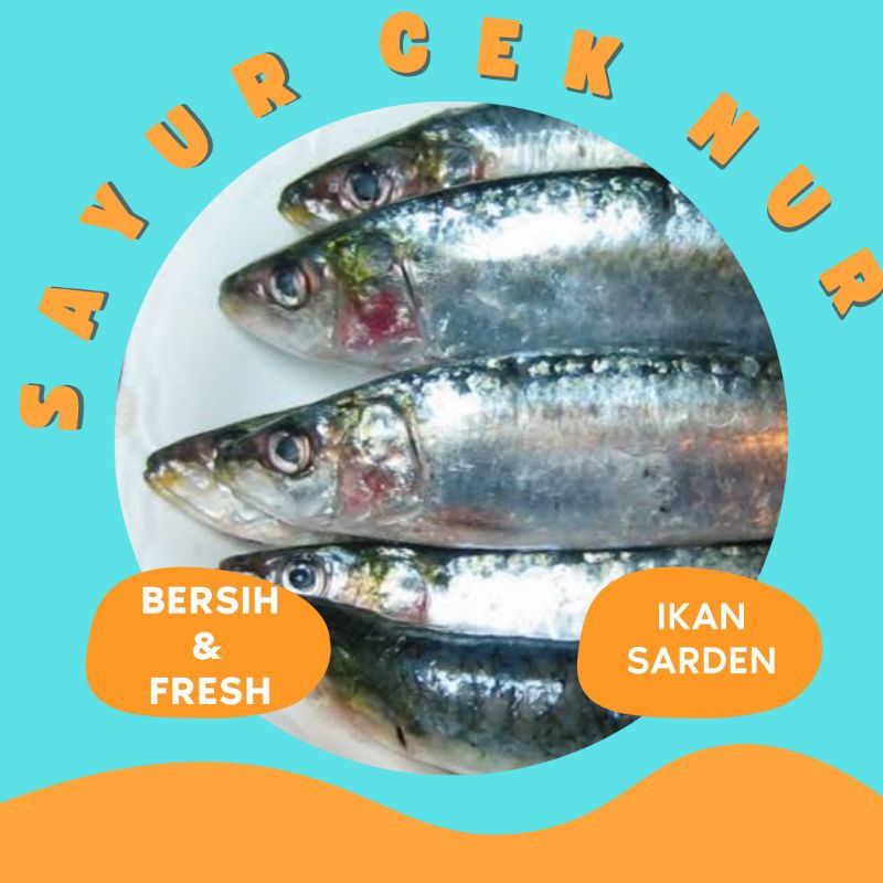 

IKAN SARDEN FRESH & BERSIH PALEMBANG