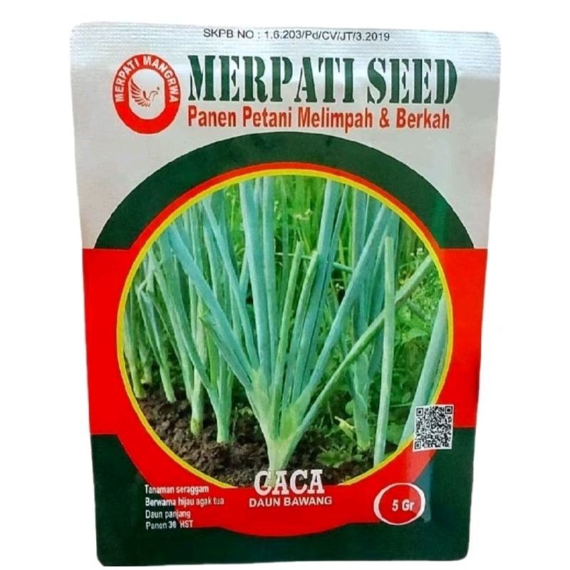 Termurah  Benih Bibit Daun Bawang CACA isi 5 gram