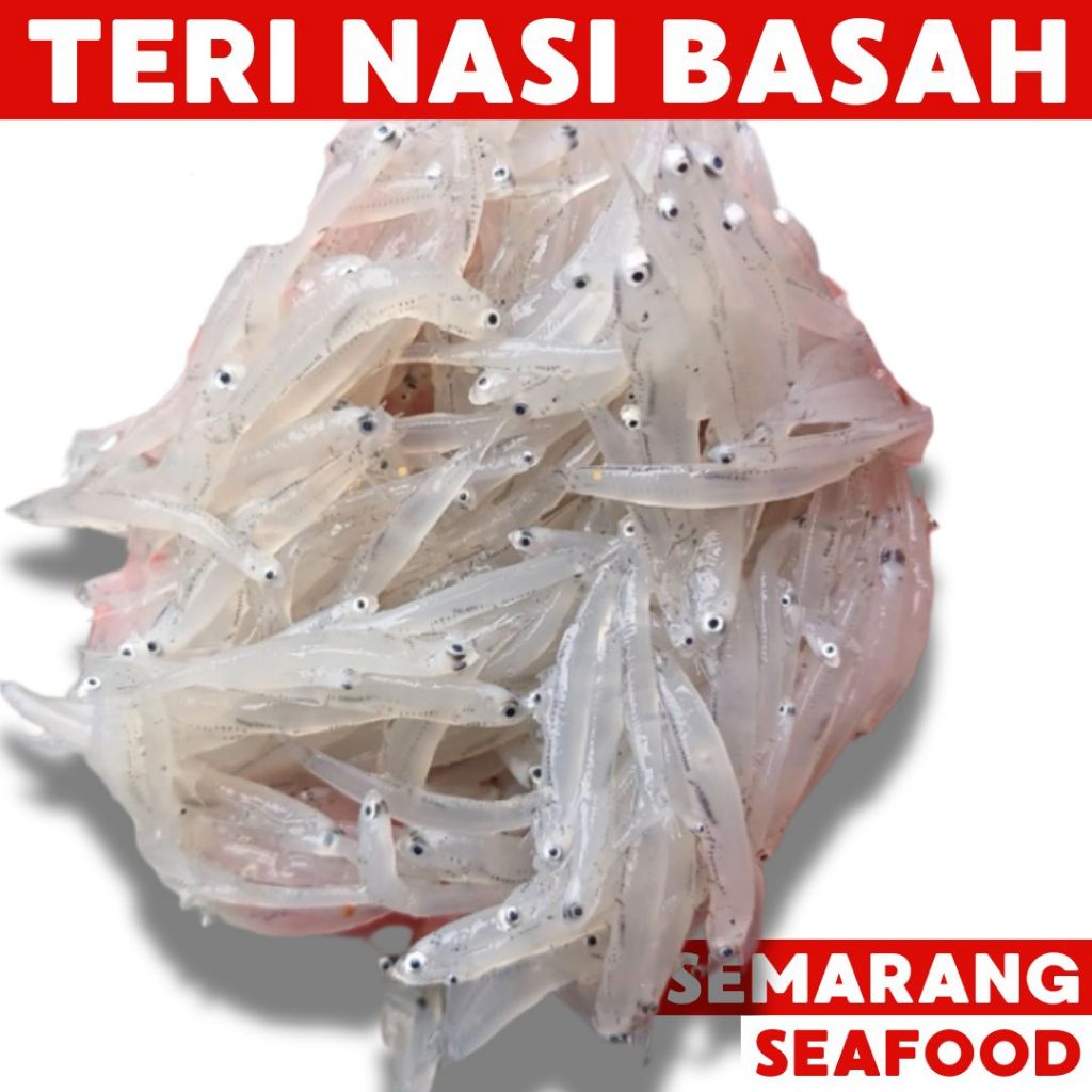 

Teri Nasi Basah Premium | Ikan Semarang | Ikan Segar Semarang | Ikan Fresh Semarang