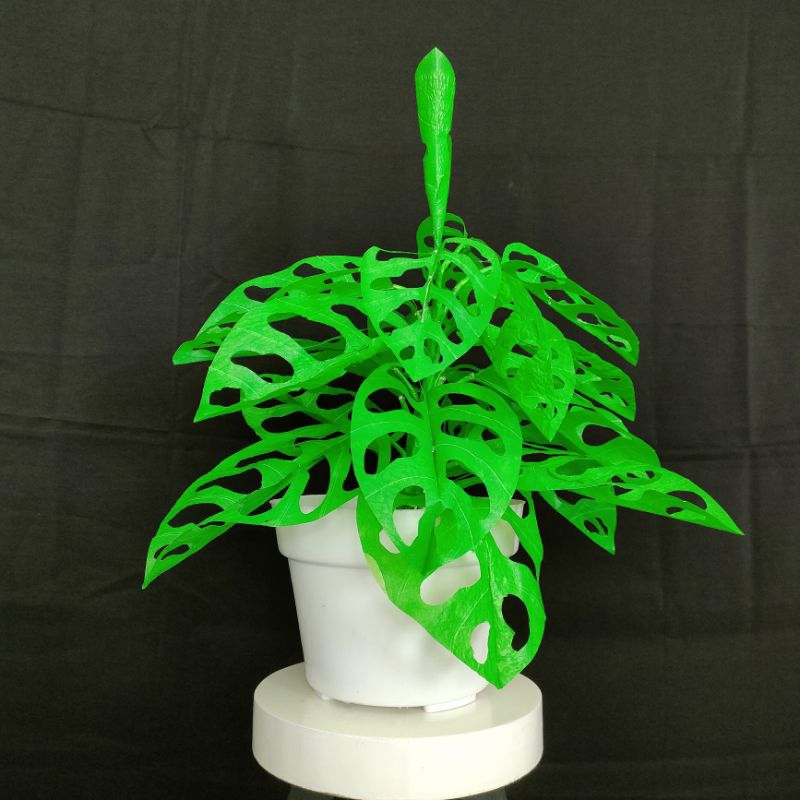 Tanaman Bunga Hias Plastik Handmade Janda Bolong Dekorasi Rumah Estetik dan Elegan