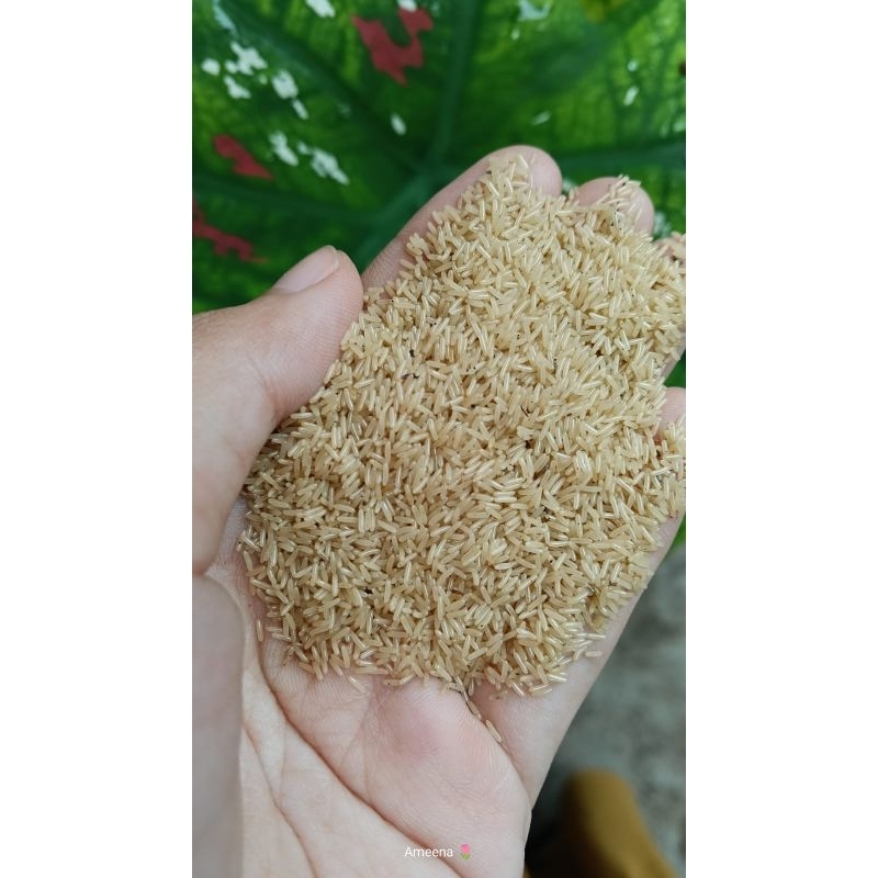 telur jangkrik alam cliring