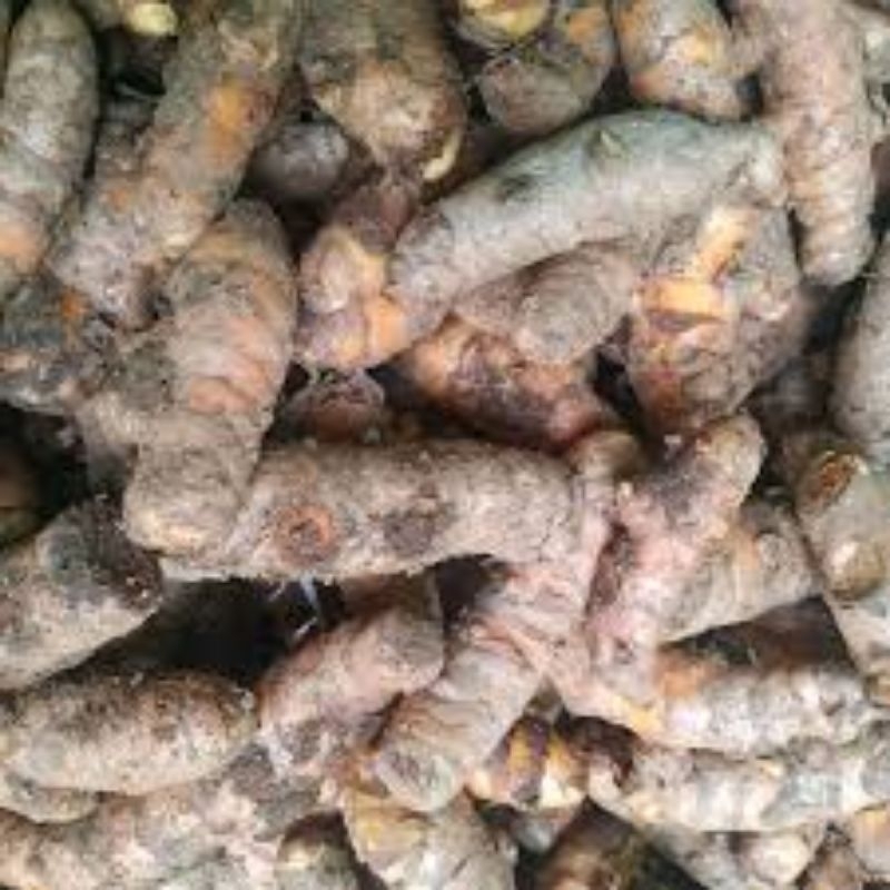 

kunyit/kunir bumbu masak 500g bergaransi