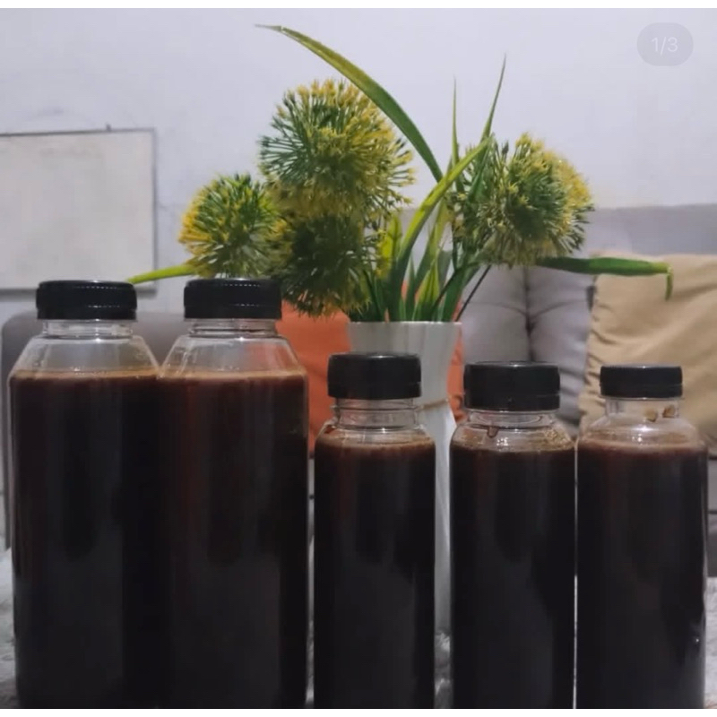 madu hutan akasia asli