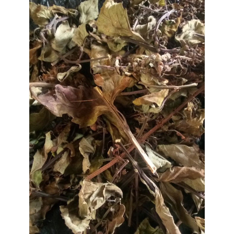 

Daun kumis kucing kering 50 gram