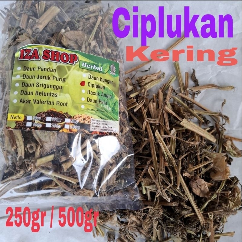 

Daun Ciplukan Kering 250/500gr