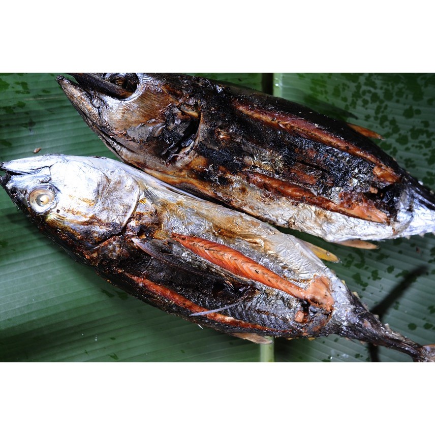 

1 EKOR BESAR IKAN TUNA ASAP HIGIENIS (حَلَالًا طَيِّبًا)