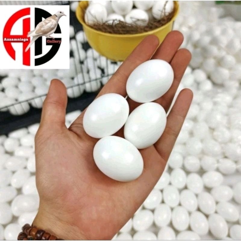 

TELOR BURUNG MERPATI TELOR REPLIKA TELOR PALSU MEMBANTU MELATIH MERPATI