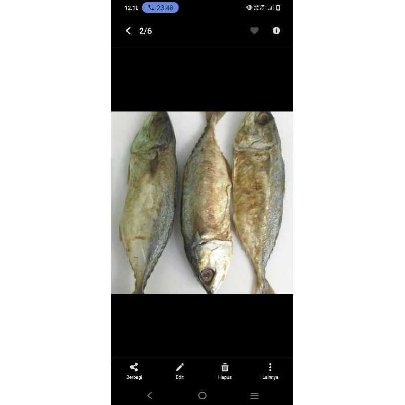 

ikan asin peda,mantap asin, gurih