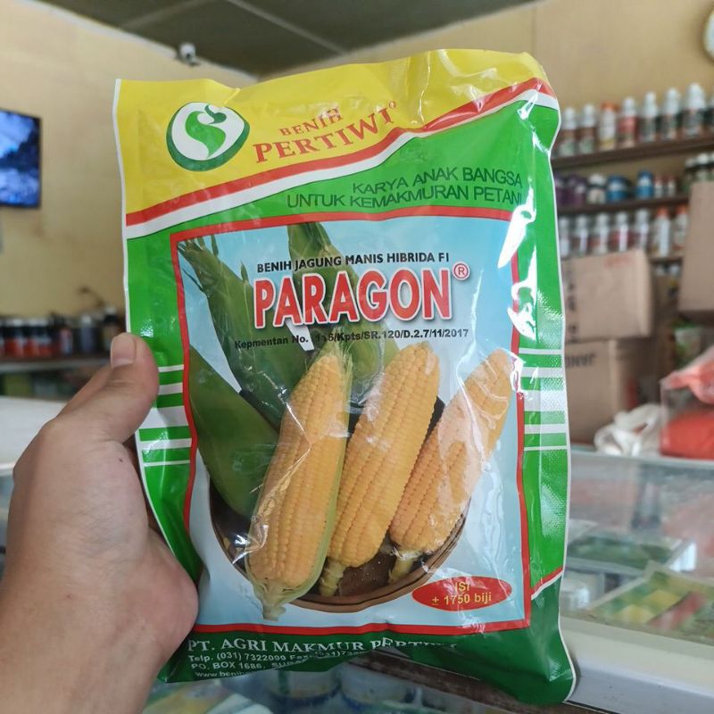 Paragon benih jagung manis