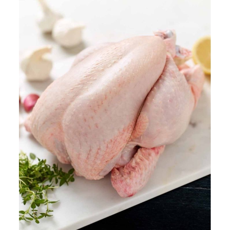 

Ayam fresh utuh - Ayam utuh bersih berat (0,7 grm - 1,1 kg)
