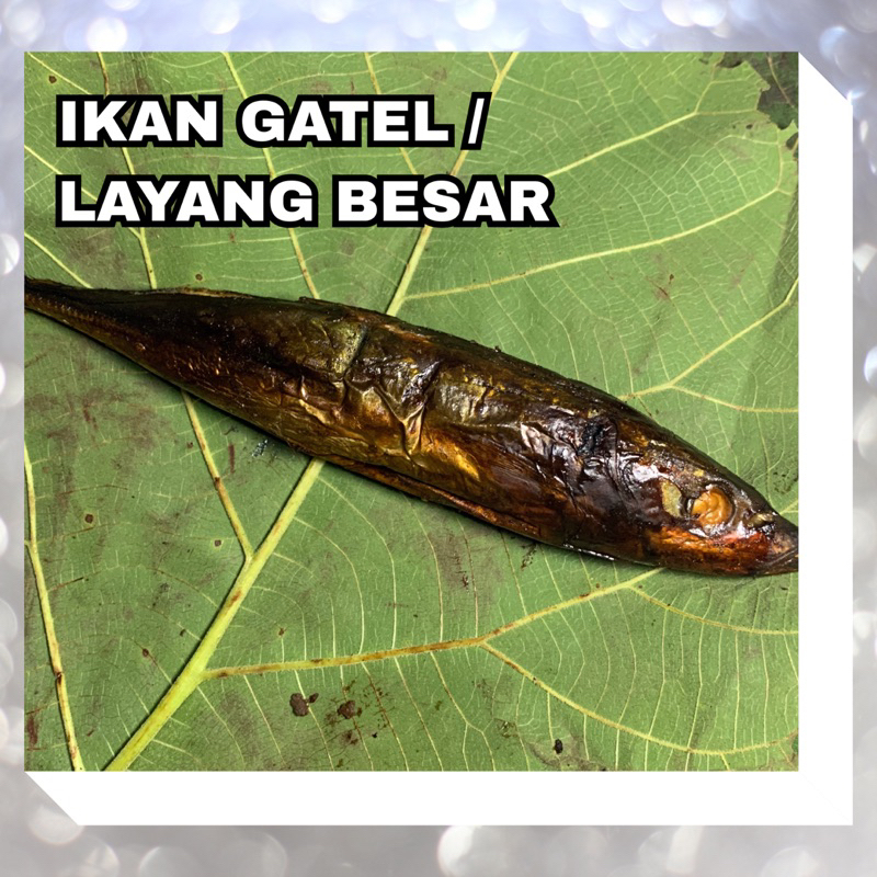 

FRESH IKAN PANGGANG KHAS REMBANG IKAN LAYANG BUNGKUS DAUN JATI