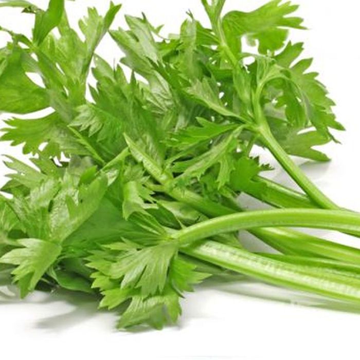 

Cold Pressed Juice Seledri Murni 500ml