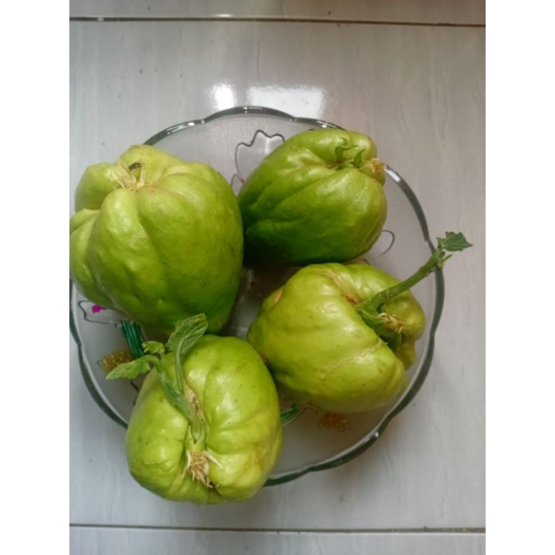 

Benih Labu Siam Pilihan - Paket Hemat 4 Isi