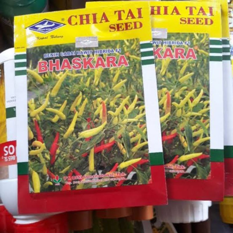 Benih cabe rawit Bhaskara f1 10 gram