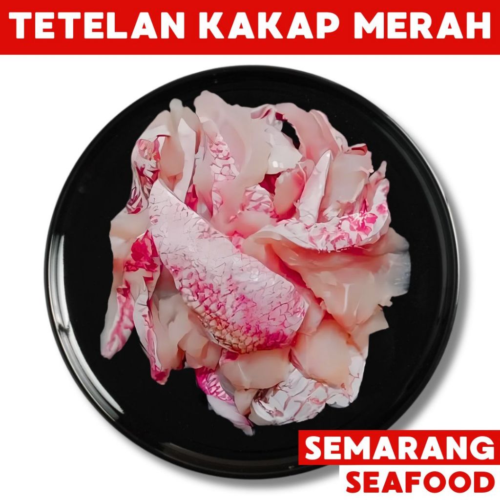 

Kakap Merah Trimming 500gr | Ikan Semarang | Ikan Segar Semarang | Ikan Fresh Semarang