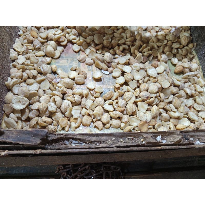 

Kemiri Pecah 1 kg