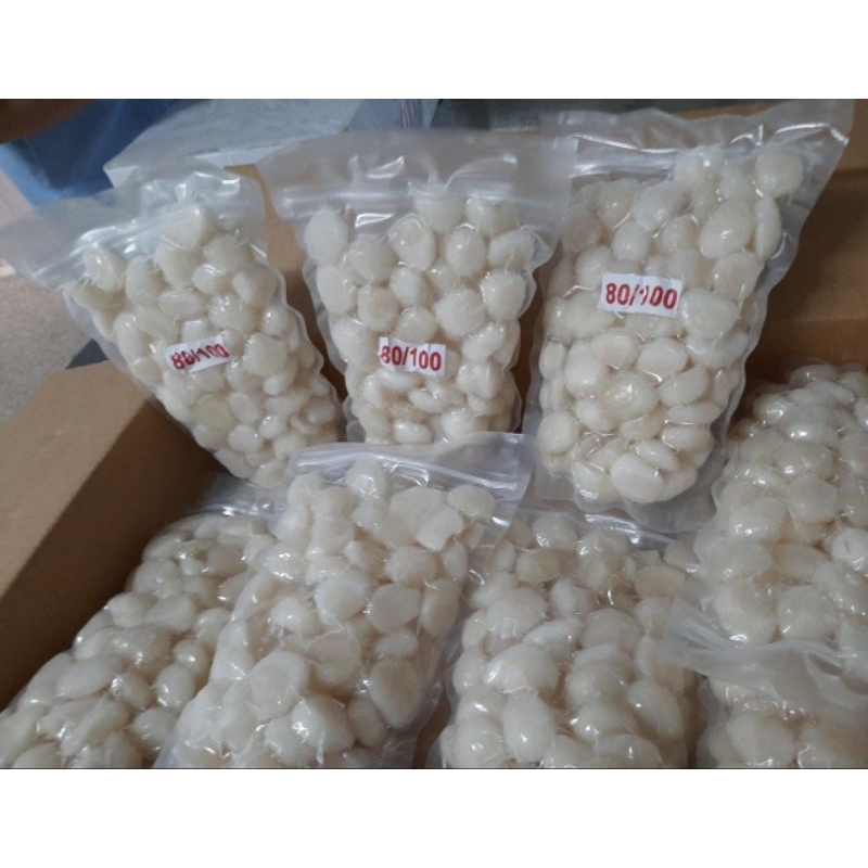 

Scallop Lokal Size 80-100 500gr