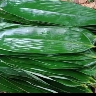 

Daun bambu . buat bungkus olahan bacang dan aneka makanan 100 lembar