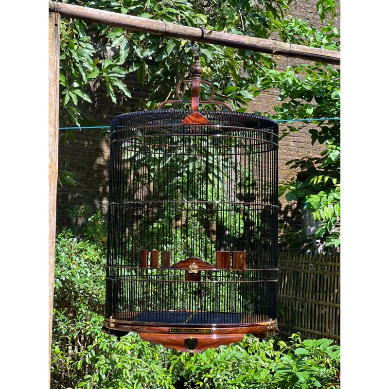 sangkar murai sonokeling ceper ruji rapet glosy