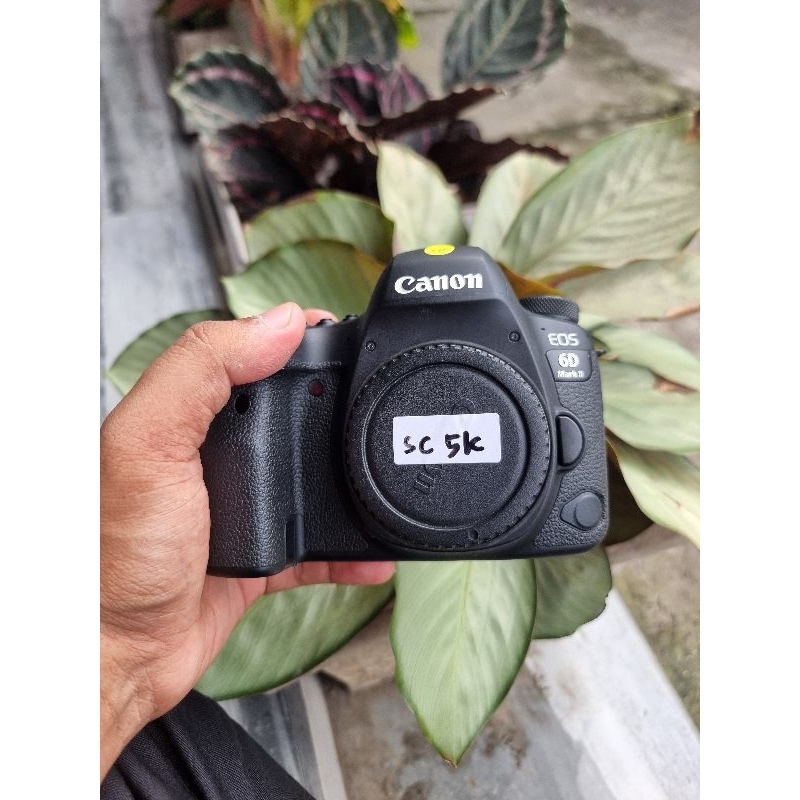 CANON EOS 6D MARK II SC 5K FULLSETBOX