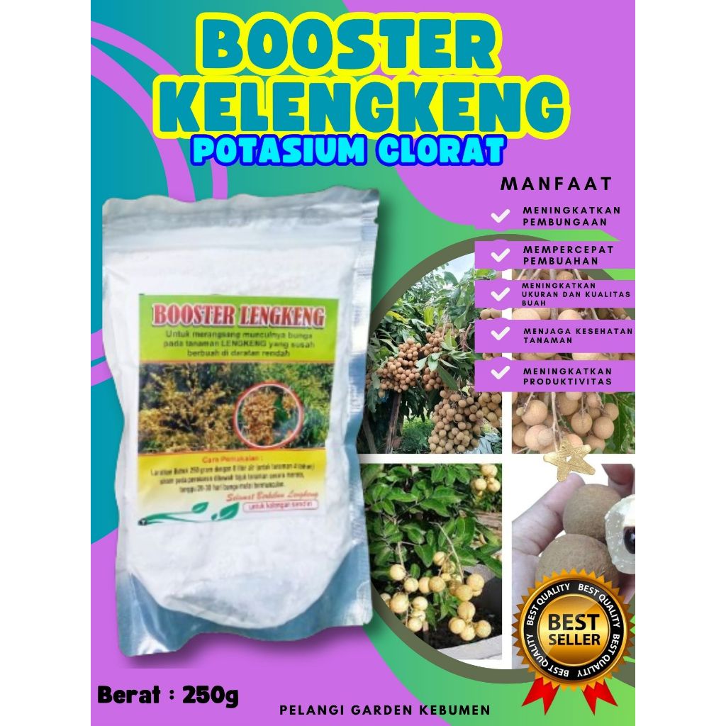PROMO  Booster Kelengkeng Merah Cangkok Berbuah, Booster Kelengkeng Matalada