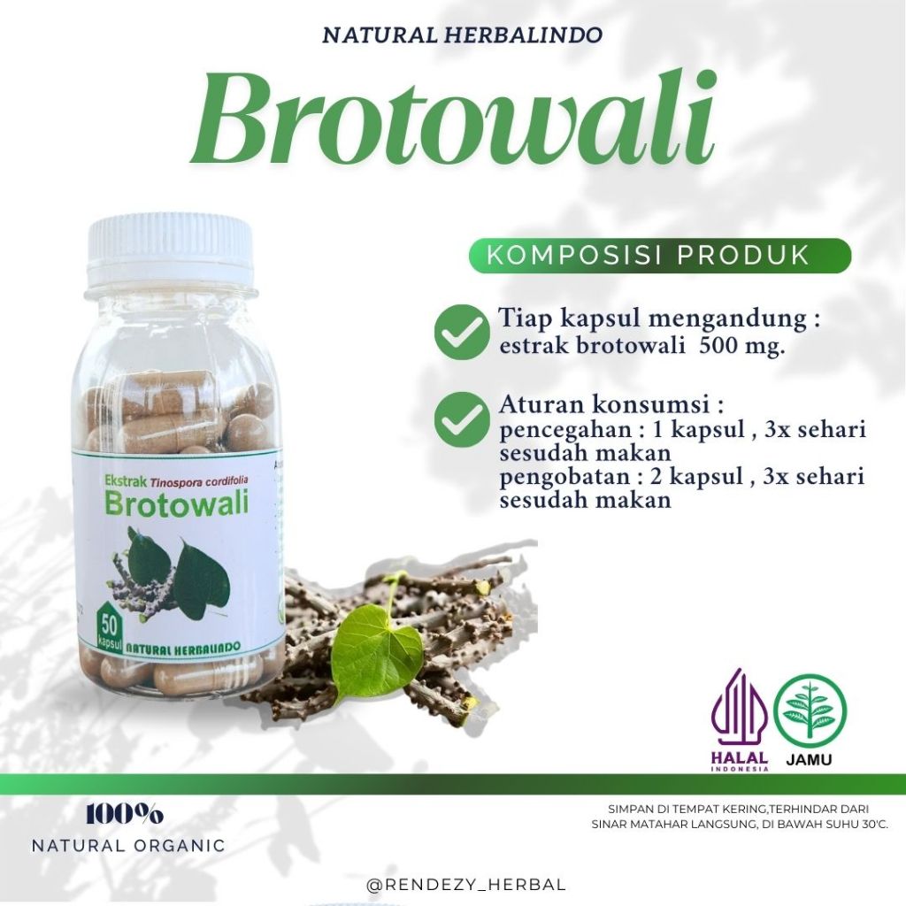 Obat Herbal Eksim basah kering Gatal Kulit BROTOWALI KAPSUL