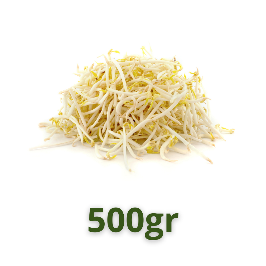 

Toge Kecambah Segar 500gr / Sayur segar / sayur hijau / Masakan sayur / Toge segar