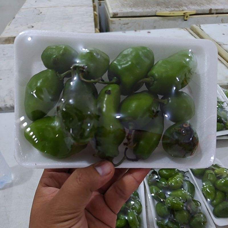 

CABE BENDOT / GENDOT 200GRM