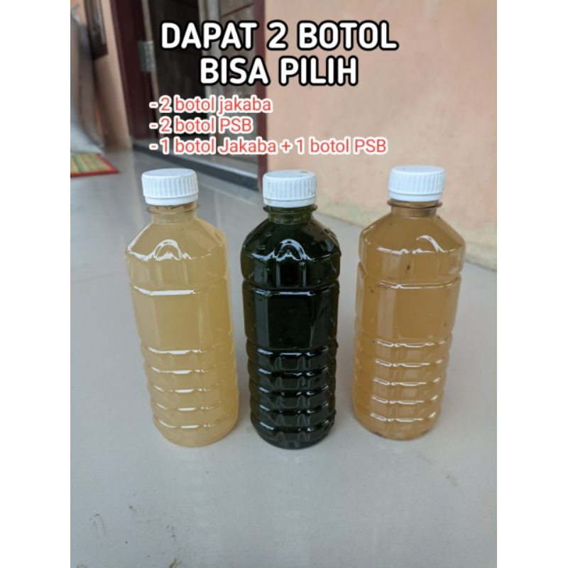 Dapat 2 botol PSB bakteri fotosintesis dan jakaba siap pakai