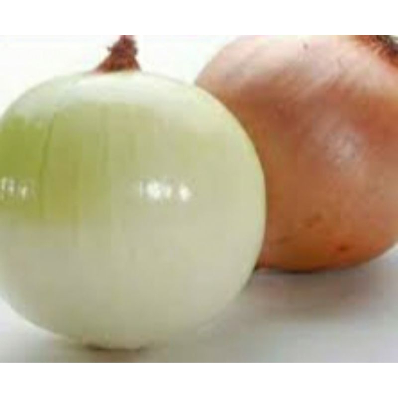 

Bawang Bombay kupas Rp 16,000 / 500 gr.